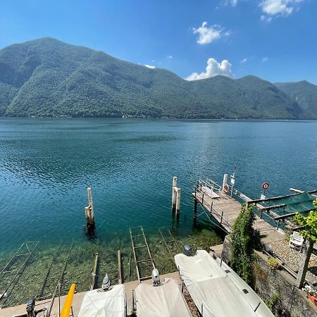 Lugano Lake, nido del cigno Oria  Esterno foto