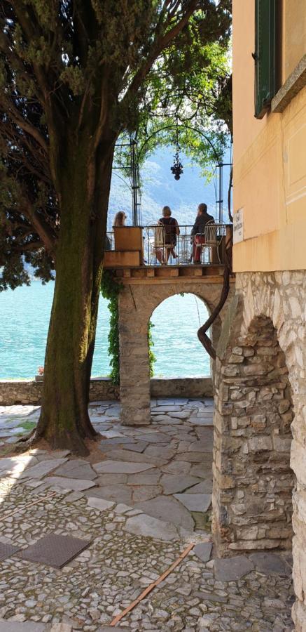 Lugano Lake, nido del cigno Oria  Esterno foto