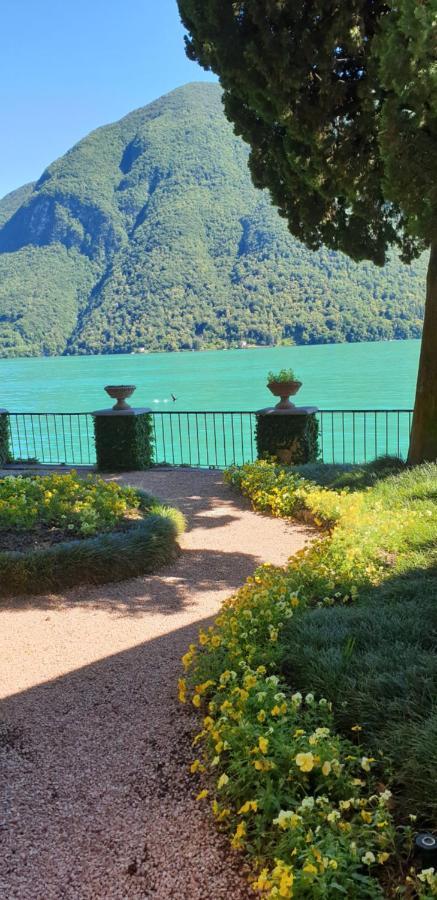 Lugano Lake, nido del cigno Oria  Esterno foto